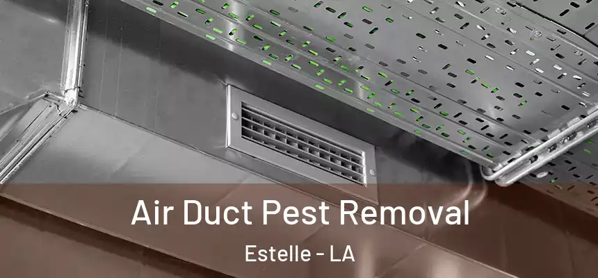  Air Duct Pest Removal Estelle - LA