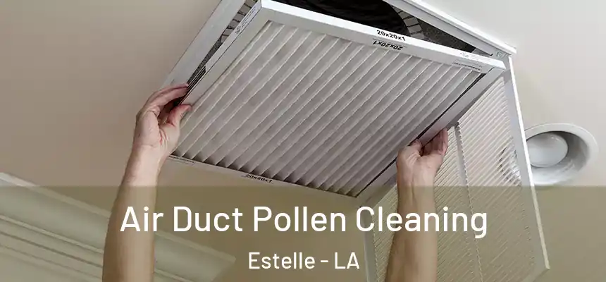  Air Duct Pollen Cleaning Estelle - LA