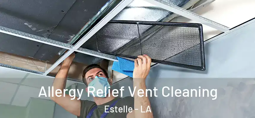  Allergy Relief Vent Cleaning Estelle - LA