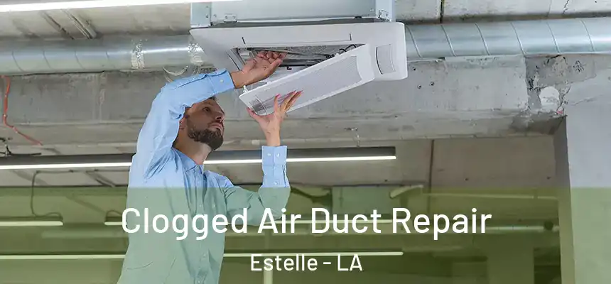  Clogged Air Duct Repair Estelle - LA