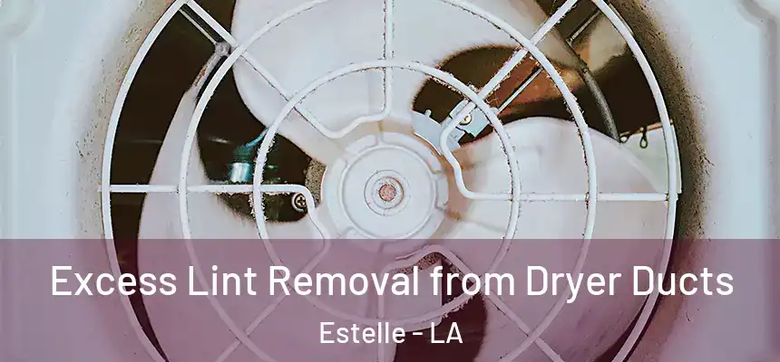  Excess Lint Removal from Dryer Ducts Estelle - LA