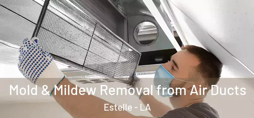  Mold & Mildew Removal from Air Ducts Estelle - LA