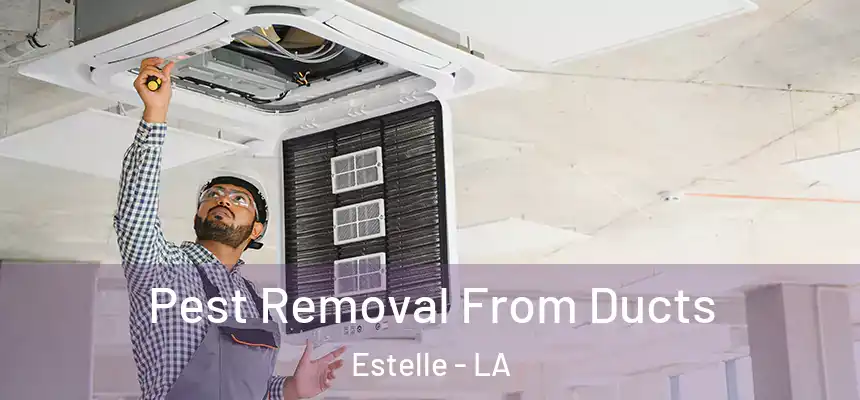  Pest Removal From Ducts Estelle - LA