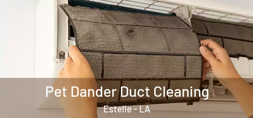  Pet Dander Duct Cleaning Estelle - LA