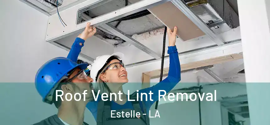  Roof Vent Lint Removal Estelle - LA
