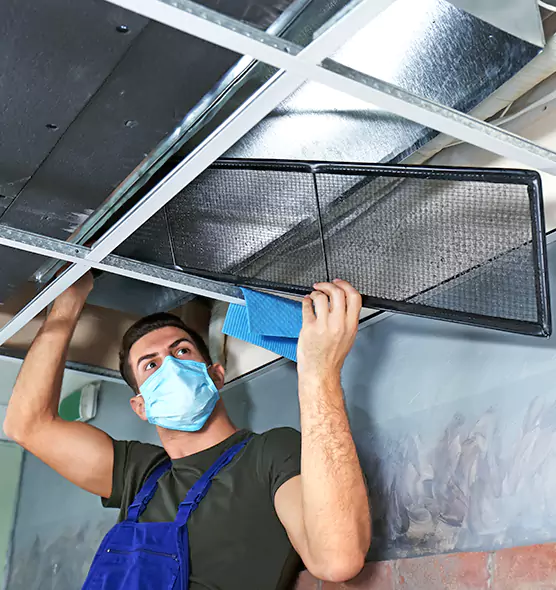 About Air Duct Bacteria Removal in Estelle