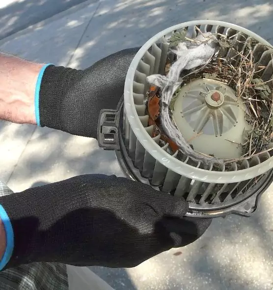 About Air Duct Mice Removal in Estelle, LA