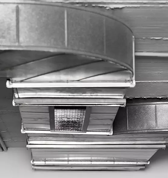 Professional Air Duct Pest Removal in Estelle, LA