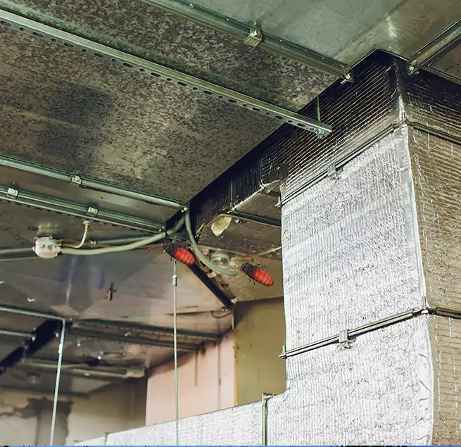 Why Homeowners & Businesses Trust Us in Estelle, LA?